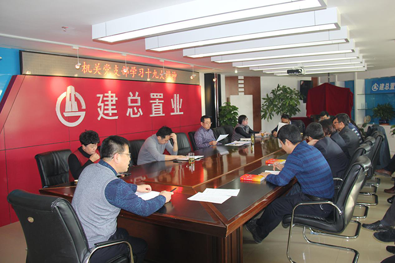 公司機關(guān)黨支部學習貫徹十九大精神