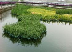 旅游區景觀(guān)湖水凈化工程 
