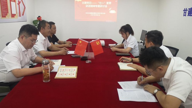 天津片區(qū)支部開展學(xué)習(xí)習(xí)近平總書記“七一” 重要講話精神專題研討會(huì)